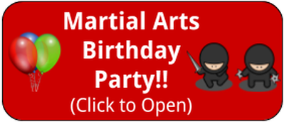 Martial Arts Birthday Party